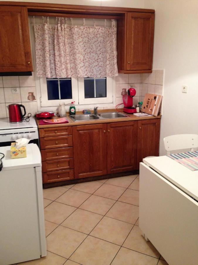 Nice Apartment 3 - City Center Kalambaka Zewnętrze zdjęcie